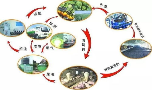 綏中千尋文案做項目投資策劃書質量可靠